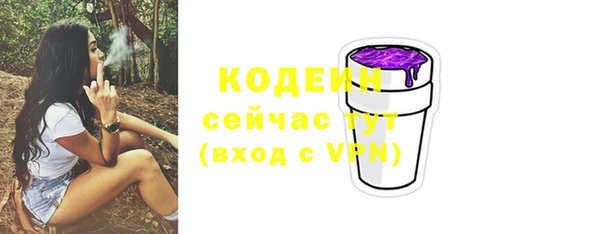 бошки Иннополис
