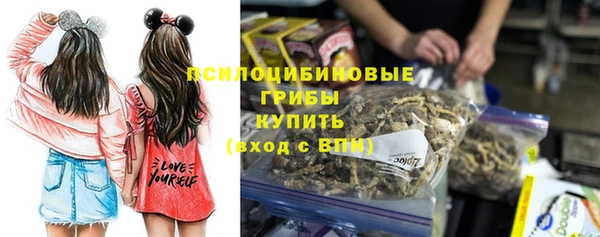 бошки Иннополис