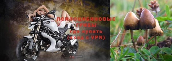 бошки Иннополис